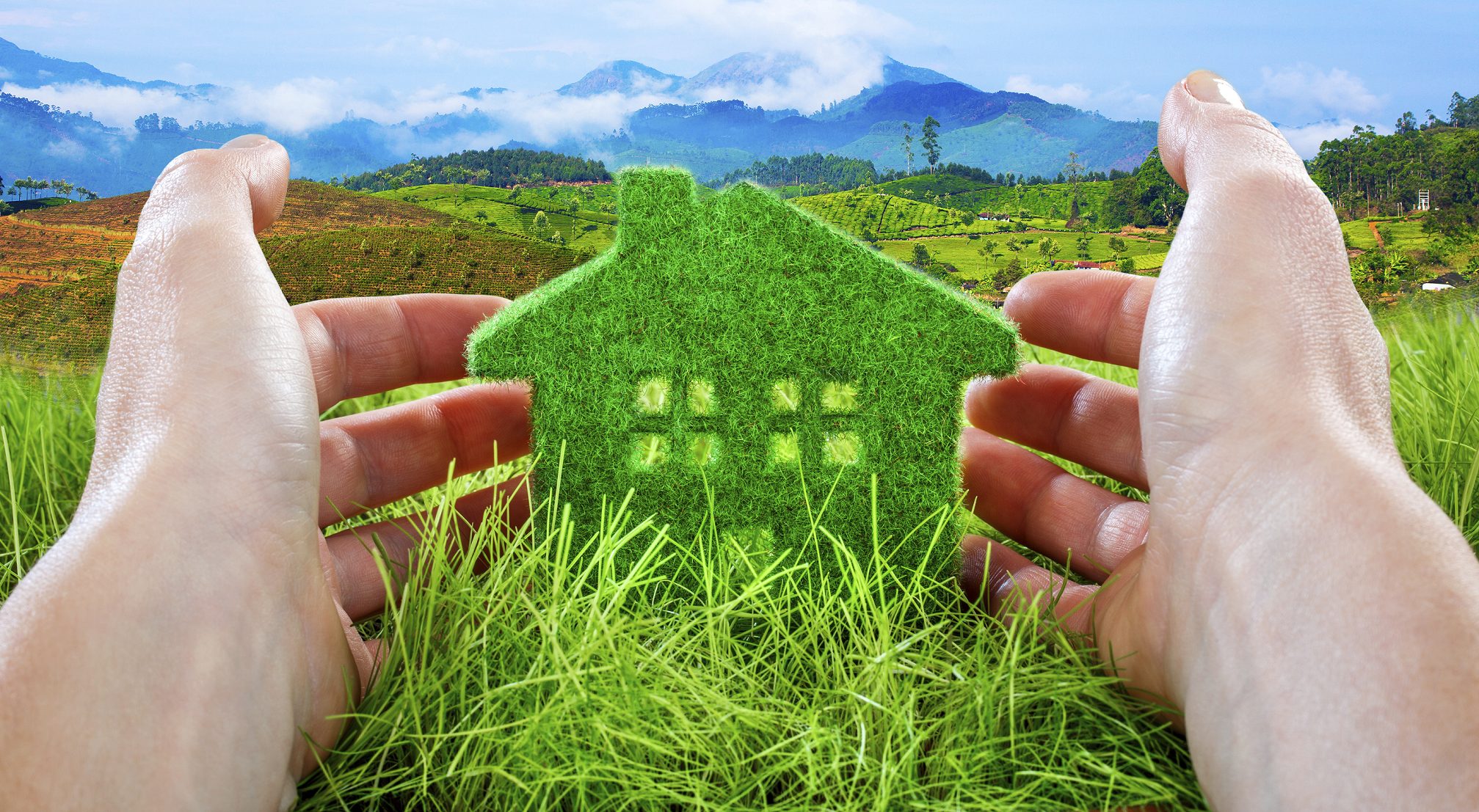 Quick Tips On How To Build A Green Friendly Building